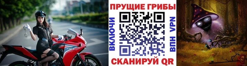 Псилоцибиновые грибы Psilocybe  Анапа 